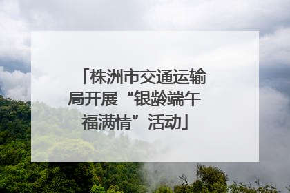 株洲市交通运输局开展“银龄端午福满情”活动